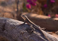 2020-04-30/bbca5dbe7087fab8e2d1abe3b83e4b01_e7c7ba274b04ac54ce4b29e729cf9c5f