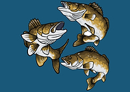 2020-04-30/eb849cd98c1a8d4419abcfc89447f87c_a017c2bfcb9b0c72f3c35cdbe7f7fa6e