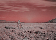 2020-05-01/34d84460fb1a0197d3de264b730bb7c6_095c4e06631a926a965d2ef4c37f77d0