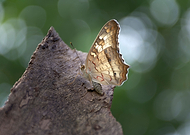 2020-05-04/9c8dbac6307d93813ceb07c2420558dd_43e4750f76ca781da8cbe91c56f000c1