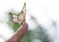 2020-05-04/d91279602c85369b511d4666749c1e2f_1f517ee05d8a355b3e2b65b3148cff37