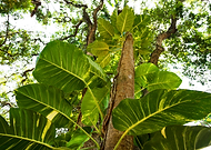 2020-05-06/3b78e591aca6c6a7f4fd0bec6df2051b_59644ac6daee47c8bcf02181d9cc2e3e