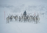 2020-05-06/5f9e717ab6b5c1c77d1dfe4724d21726_ddeb6bdd55d0695845667a47c5606197