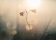 2020-05-07/8b66b87e2c03c69de3c251bc4dfc44de_44036cdc9f2b863c64fe8ce4bbb8d3e2