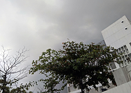 2020-05-07/a39f652eec47bfa9ff0a9b13633ec105_5c5ae1219d63ddfb5a3ff4058050ccc2