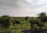 2020-05-07/f9e5a3d2b5d22be8059b957aad34362b_921df4b4ed5de783b7158f654f3098a8