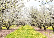 2020-05-08/94e87e60a070a2c60ab257d8f0bbe8b1_288dbf3746b12bc526c3d042fdb6b891