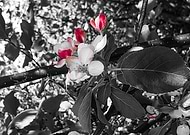 2020-05-09/9a1fbafb82e9421152295e4a06362c24_ef3cb367b2f6c460a78a8230f9e23eb7