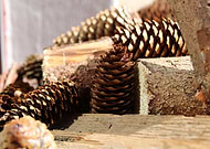 2020-05-10/5b027b02bbbfcc37bb7bc9f1b513c804_2699c31105c5eaa4479daed6b7a2eb3d