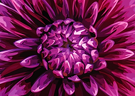 2020-05-10/92d7d26f41d2c5d2477eaeadb88d4af1_005b416860acfee44ec9883ccf6fc50e