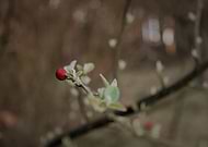 2020-05-11/4ef69883cdb8f2e240ff64bdead65708_b1ce189a22696efd5f5a5d231b6a459f