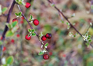 2020-05-11/86290f501ef5cd6f4ee367d1d358bfd9_a716c957e16b8f42846da667c639fb11