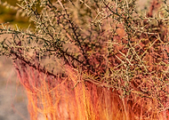 2020-05-11/cc23c51bd74b3b9d66be1c19153235d2_ab6e0d6bd2eae99cd5c27a83befd7369