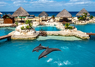 2020-05-11/cfcf0e51b18609f282efe3c2dc9fc5a2_b538319be5af3cd0cd026cf7fecae675