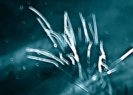 2020-05-12/69a998115dc31782c847b01486dd653b_302770f6b43370144349cb9a5ad27ca3