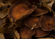 2020-05-14/bba00294972733d649f10891b186c506_75f3c55653730cd92e990726de39b66c