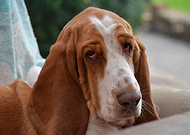 2020-05-14/f2c0ccb69be981bc1fcaf5f1c671decb_d34c02a1940b673e1f73db122102973a