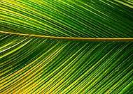 2020-05-15/210d648a967f579253e2c7faf47350ce_0b13e063808672562591bc9557731b3e