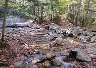 2020-05-15/3a2665a044b5100f71e2997e46466f06_e7415eafc377d15d870a165b3dbadcd0