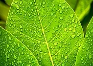 2020-05-15/a6321d37a1709bd3fe62b70abf26a09a_1da7b43f56f9e55c435ae6d512a48a5c