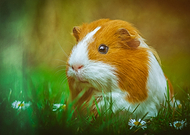 2020-05-16/643d7fc7891223da420ab364a948c579_133e79dbaf4f492c816bf5edf0a7078f