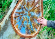 2020-05-18/2154d0fa03c546d83cb77d4eab0388c8_c9802bfdc04958f512796662920a806a