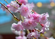 2020-05-18/2d1ea3a95044db1a8703494e6b2fee66_a4fc80f8d33ebdc8ccb0ad3c2c8cf3c9