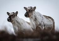 2020-05-18/427c2f3cc3acd077ba8c85866e3502f8_6d5c5be702abe2e6f5df10df0b796430