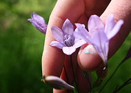 2020-05-18/583d6124fcd6c24e835b09e065ac6442_40e3e649950aefed9fcfdaeaea54fe92