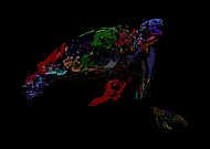 2020-05-19/ae80c56fb1d8a283ccce5ed2361a361a_1dea301ecca2040c1d5b2988da980432