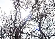 2020-05-20/4addc50ffd79f03599e49974d1452040_5a5e83f3e53802fb880bf6330a20a1ee