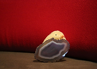 2020-05-20/ad9dbe3be54152abb2e806cfa7ab940a_220095920b2e2f7ee4ef122798c1dafe