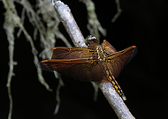 2020-05-21/149254bb3b41d1e0f49ab81df464b0b2_ad4f5e1dce60b7cb3ba2d8f4e3d11b2b