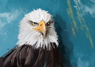 2020-05-23/2ec9d70621cab3e49841a1aff67df34f_7d362ff79d0c25dd890e453b3d980a0d