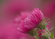 2020-05-25/16cca597fea7097ec99a2f5af7fc5093_0474fb2bf618176abe14193b0de44bc1