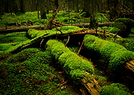 2020-05-27/d15a96b46d18cff3b158dfeb88e74c08_b2c54b6a8690dc6a0cbde397aaab0fe2