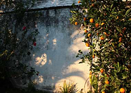 2020-05-30/09e0aa8d39d1f439e758ad7f8fe79fd5_c799a809b84a812b13ff02fa31b879ff