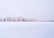 2020-05-31/105ab29eb1d28ab3b386290c93f012a2_6dcb33da2d1ced4e2bf0aed1f0e0a67e