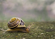 2020-05-31/48c42f940d42e9b26cfb6603b6535d86_2345b1878c8531ac6821c141cea595bc