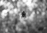 2020-06-02/4f0ca175d7e4df802bc862fd71b6d5e2_7c52ef2039e126ca5f94b379ab598496