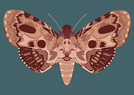 2020-06-02/509dea8964c54108f499c7fcdab51e29_a26653dec6a689783165db11c79db68c