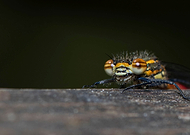 2020-06-03/2b2f4fcaf18b850326a67c38f86d6168_e7627b3d9152f3cf2f5bcfe70914ce32