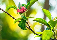 2020-06-04/1292911aac8213333e82999f4f58a4cc_f35387b55d05f2171f5db77101270ef8