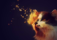 2020-06-04/1e527a5314549fdd3b150f7a468a2318_bd190d98ee37b6bd8f2154771b5608ba