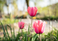 2020-06-05/65aeaff7bfd283e6f0c42df321ea4b68_a28ca59cb4696449e64795ce9031ab88