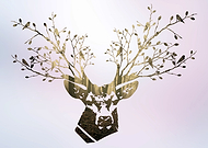 2020-06-06/f97a9fe823627b9044c60f41674fd0af_ae6df3aead9a4ea64a7c9938f842f10d