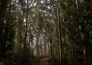 2020-06-07/d573c3c526b7ddbf255d79c8e66ee019_a7c3dc185e97844e18f2367dd9e523b4