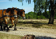 2020-06-08/19ab0e62d9dbbb6a88414f83478a641d_575f2fe5b6a60f8e711d3540cbd765d0