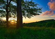 2020-06-08/22e63760dfca8028552a2388904b22f3_aa9142206df331065d5c89829df6b8bb