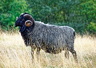 2020-06-08/52c990e26b8ef6d54cd25b8593d71ea3_fe4d63033ca206bf7df6bc44e230fd13